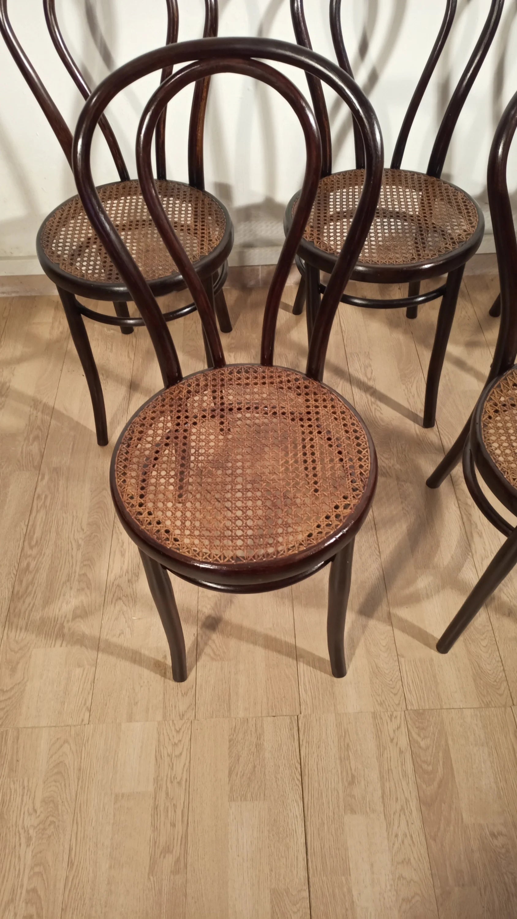 Sedie stile thonet drava set di 5 con seduta in canna intrecciata e schienale rotondo in legno bentwood